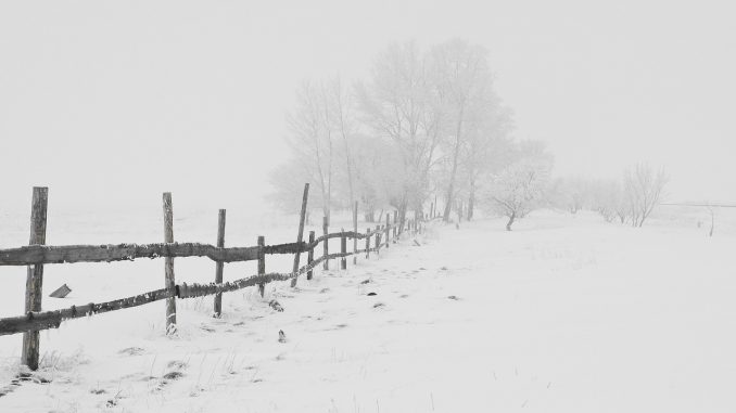 winter-20248_1280