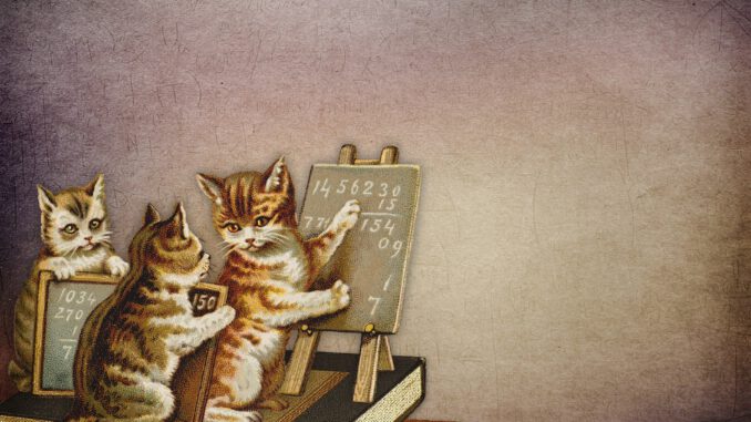 mathe-katzen